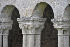 Plan rapproché sur quelques colonnes du cloître ouest de l'abbaye