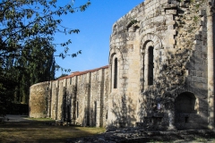 Absidioles au premier plan et Galerie Est de l'Abbaye de la Grainetière en arrière-plan.