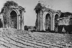 Absidioles de l'église abbatiale et mur Nord de l'abbaye à droite.