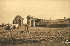 Carte postale des absidioles de l'église abbatiale et mur Nord de l'abbaye sur la droite