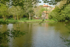 Etang