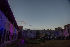 Festival-de-Musique-Abbaye-de-La-Grainetiere-2024-14-aout-037-Grande