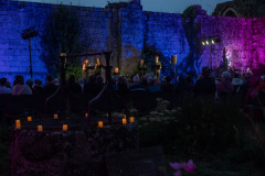 Festival-de-Musique-Abbaye-de-La-Grainetiere-2024-14-aout-056-Grande