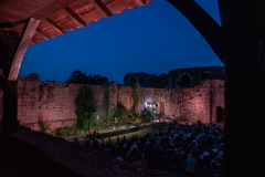 Festival-de-Musique-Abbaye-de-La-Grainetiere-2024-14-aout-063-Grande