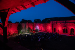 Festival-de-Musique-Abbaye-de-La-Grainetiere-2024-14-aout-066-Grande