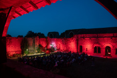 Festival-de-Musique-Abbaye-de-La-Grainetiere-2024-14-aout-067-Grande
