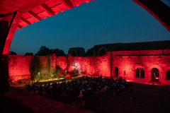 Festival-de-Musique-Abbaye-de-La-Grainetiere-2024-14-aout-068-Grande