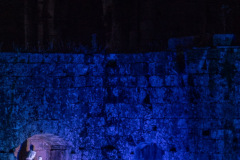 Festival-de-Musique-Abbaye-de-La-Grainetiere-2024-14-aout-075-Grande