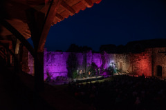 Festival-de-Musique-Abbaye-de-La-Grainetiere-2024-14-aout-077-Grande
