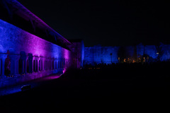 Festival-de-Musique-Abbaye-de-La-Grainetiere-2024-14-aout-083-Grande