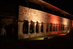 Festival-de-Musique-Abbaye-de-La-Grainetiere-2024-14-aout-106-Grande