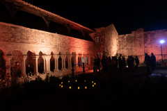 Festival-de-Musique-Abbaye-de-La-Grainetiere-2024-14-aout-107-Grande