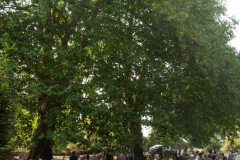 Festival-Grainetiere-2025-15-08-A-Marie-et-a-la-Nature-163-Grande