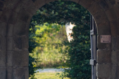 Festival-Grainetiere-2025-15-08-A-Marie-et-a-la-Nature-168-Grande