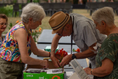 Festival-Grainetiere-2025-16-08-Missa-Solemnis-008-Grande