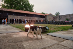 Festival-Grainetiere-2025-16-08-Missa-Solemnis-022-Grande