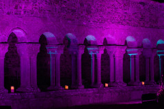 Festival-Grainetiere-2025-16-08-Missa-Solemnis-116-Grande