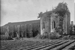 Absidioles de l'église abbatiale et Galerie Est de l'abbaye de la Grainetière