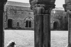 La galerie Est vue du cloître de la galerie ouest
