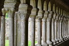Colonnes du cloître ouest de l'abbaye