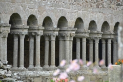 Plan rapproché sur quelques colonnes du cloître ouest de l'abbaye