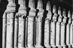 Plan rapproché sur quelques colonnes du cloître ouest de l'abbaye