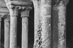 Plan rapproché sur quelques colonnes du cloître ouest de l'abbaye