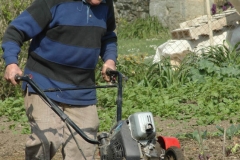 Un des moines passe le motoculteur dans le jardin de l'abbaye.
