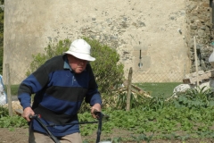 Un des moines passe le motoculteur dans le jardin de l'abbaye.