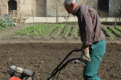 Un bénévole de l'abbaye passe le motoculteur dans le jardin de l'abbaye.