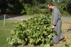 Un moine à la main très verte