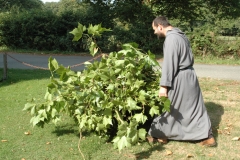 Un moine à la main très verte