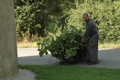 Un moine à la main très verte
