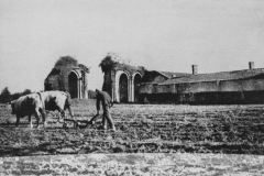 Absidioles de l'église abbatiale et mur Nord de l'abbaye en arrière-plan